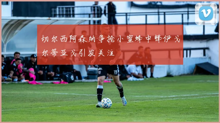 切尔西阿森纳争抢小蜜蜂中锋伊戈尔蒂亚戈引发关注
